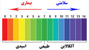 رژیم لاغری سریع