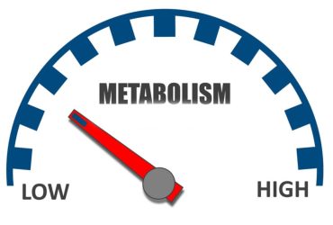 افزایش متابولیسم
